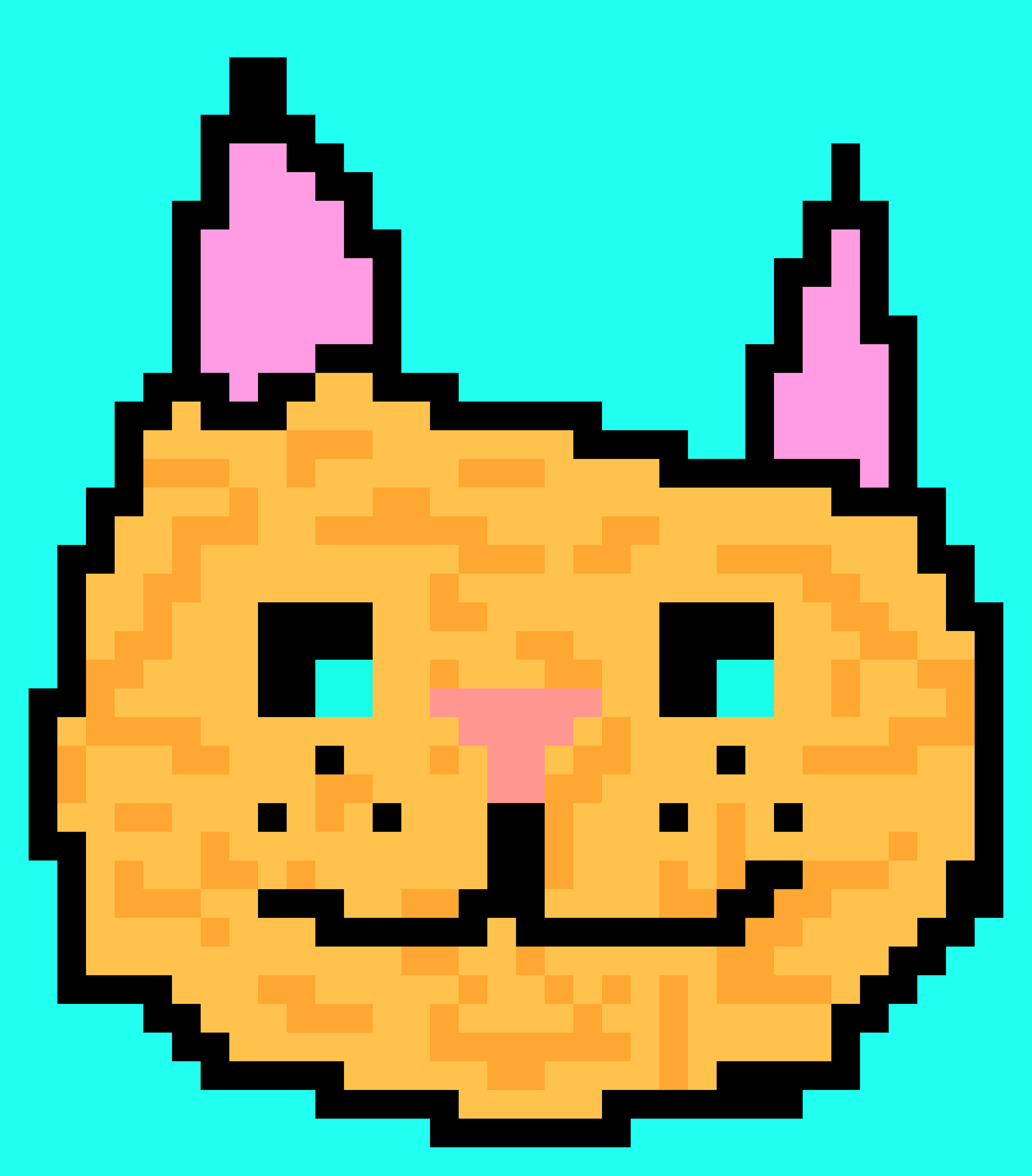 [9664c4] kitty cat