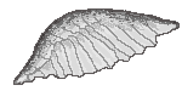 [9664c4] Wings (First pixel art i've ever made)