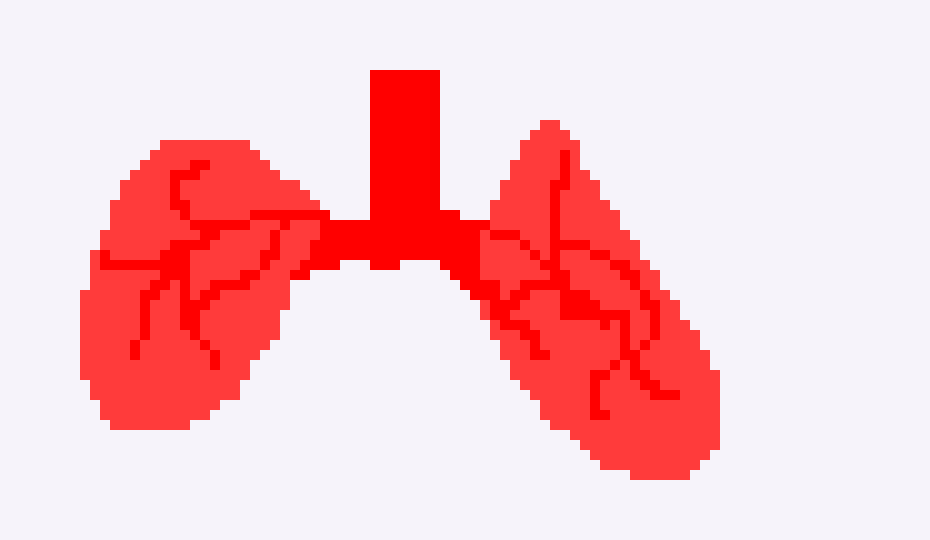 [0e0890] lung