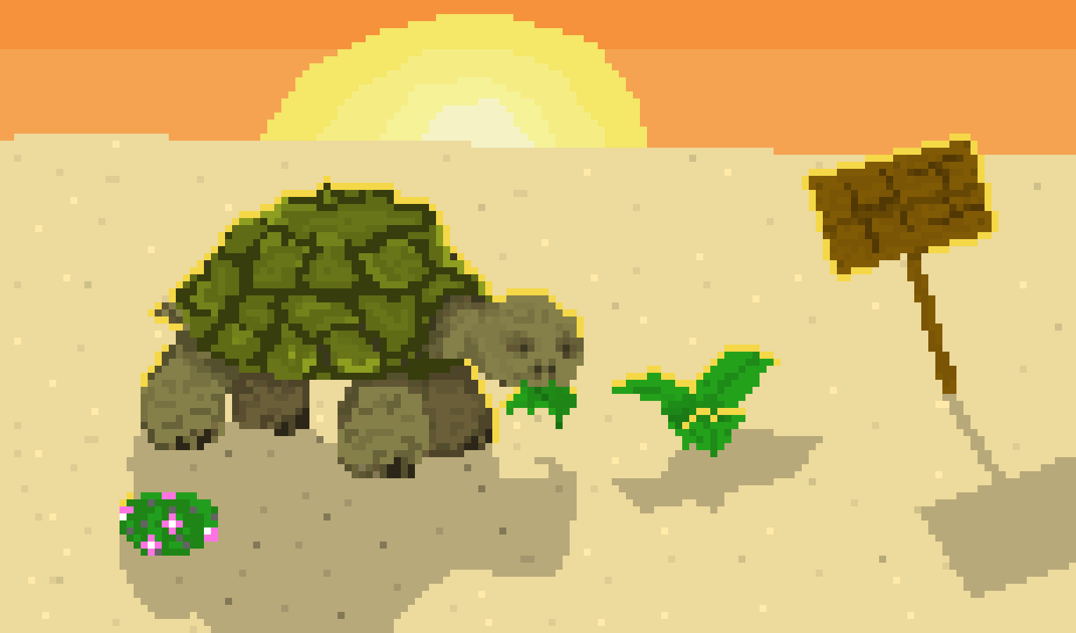 Greg The Tortoise