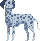 [dfdafc] Dog_9