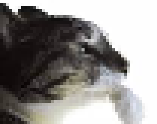 [425065] you can not ragebait me