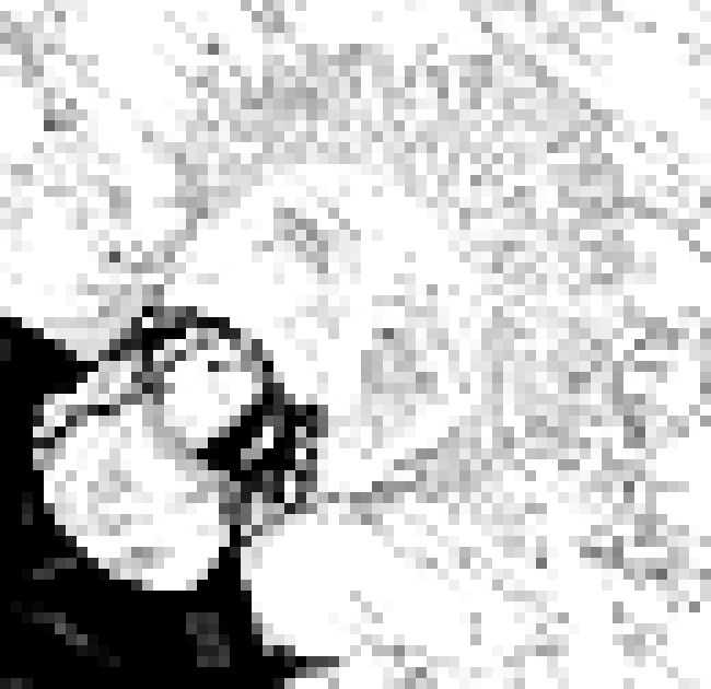 [006d2b] "where's his shading gro" IN A MINUTE