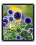 [226f8e] desktop icons