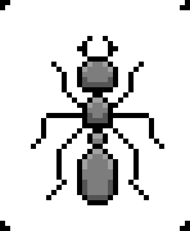 [ddcdae] Ant (Walk 2)