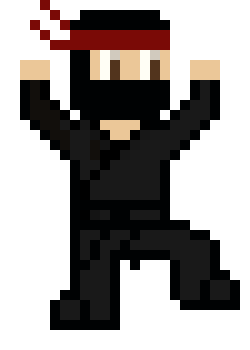 Pixel Ninja