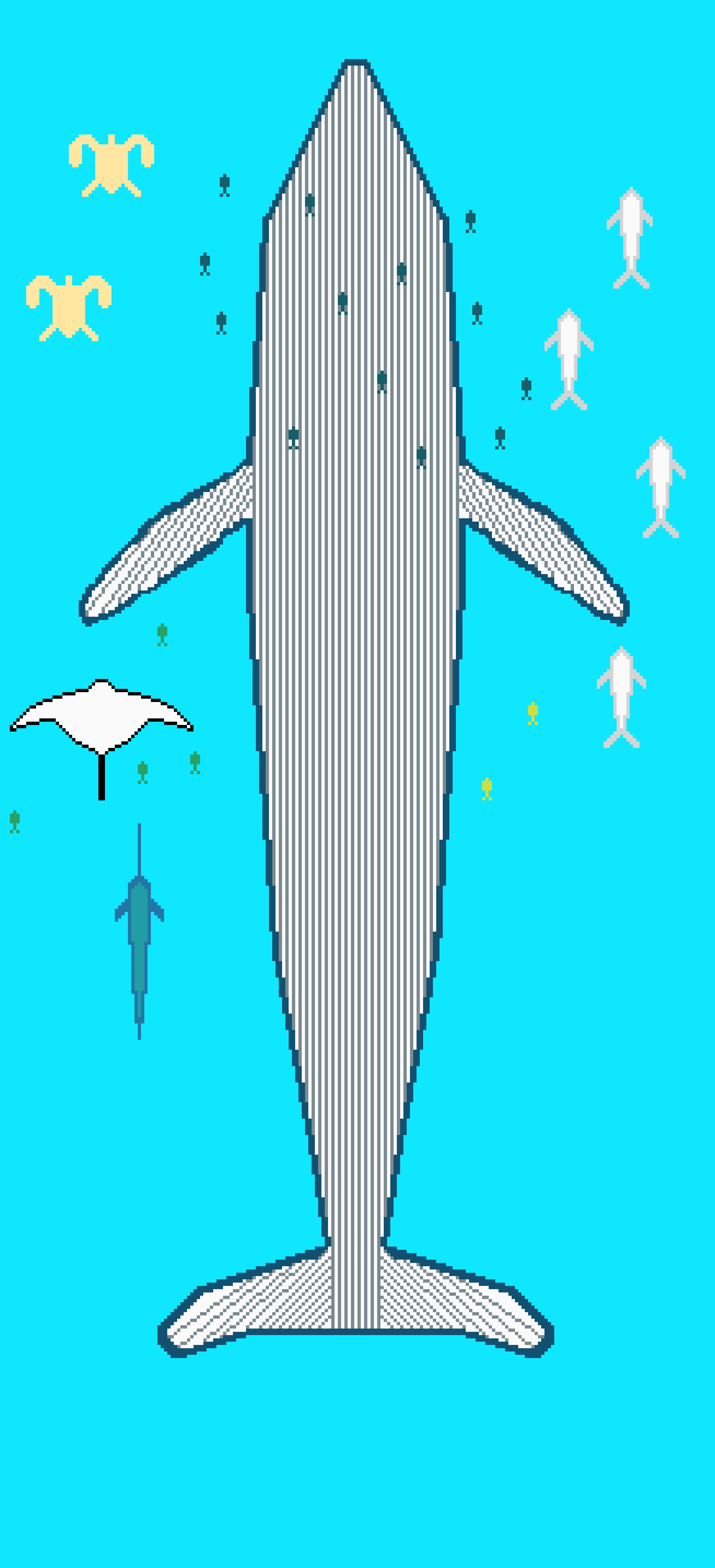 whale skateboard