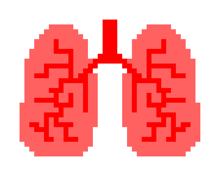 [2b4978] Lungs