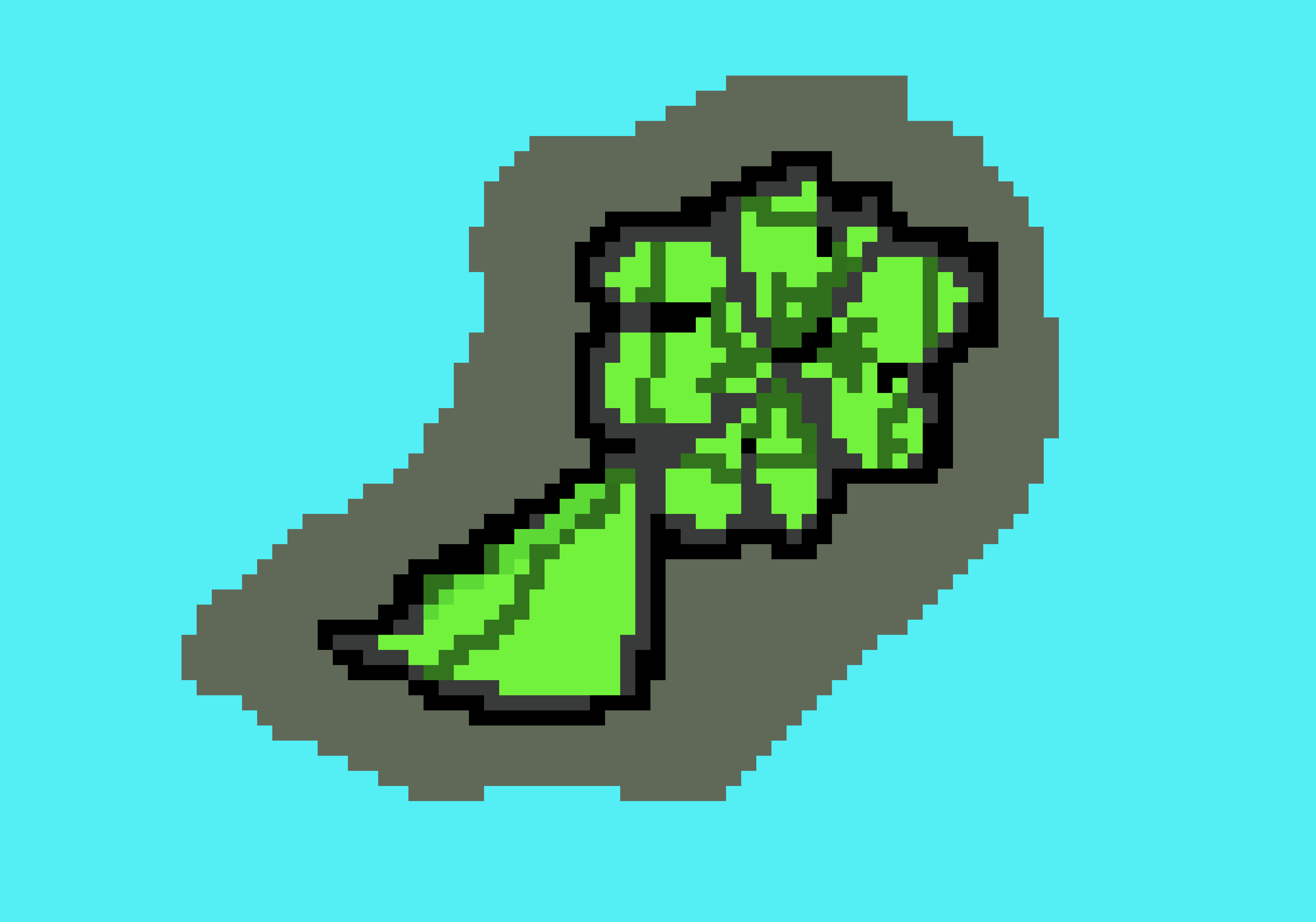 [9664c4] shamrock