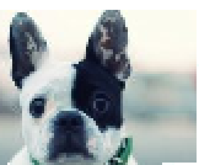 [56228f] Fayth pixelart