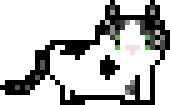 [9664c4] Savvy_0