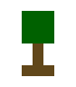 [81743b] sapling