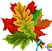 [dfdafc] Thanksgiving_13