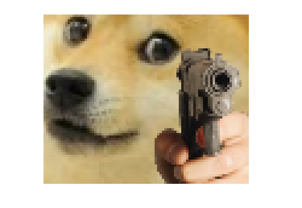 [69c08a] Doge