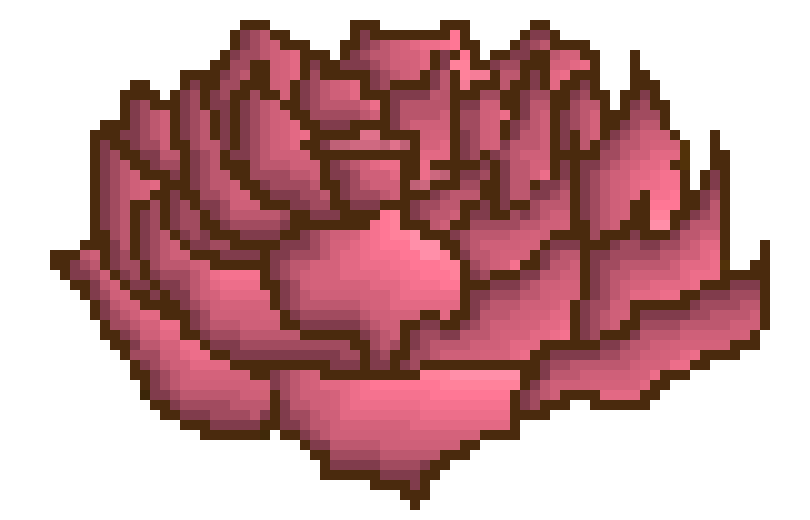 [9664c4] a rose