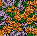 [d71e82] roses