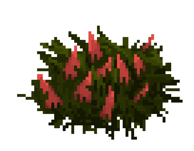[293003] 🥀🥀