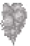 [63b659] smsoke