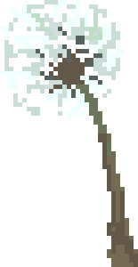 [100cc3] dandelion