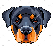 [dfdafc] Dog_2
