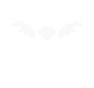 [173811] Delta-