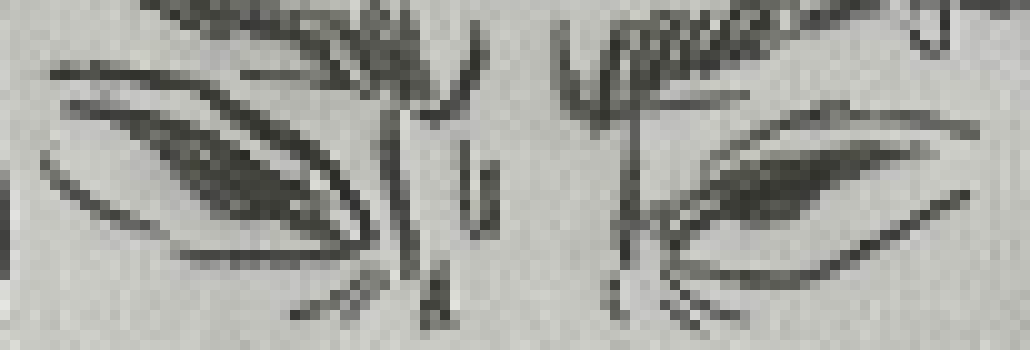 [bce8e5] oh you said no cps, how old is your cousin?