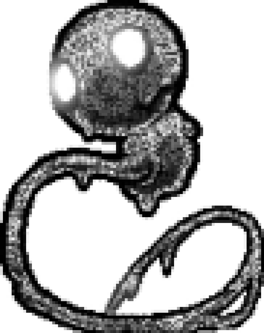 [990543] Dogma (The Binding of Isaac: Repentance) (Free to use)