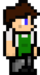 [ccfc81] TERRARIA