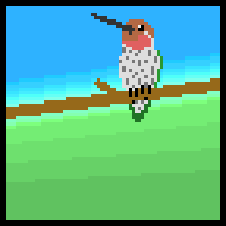 [4120cb] Hummingbird on a stick
