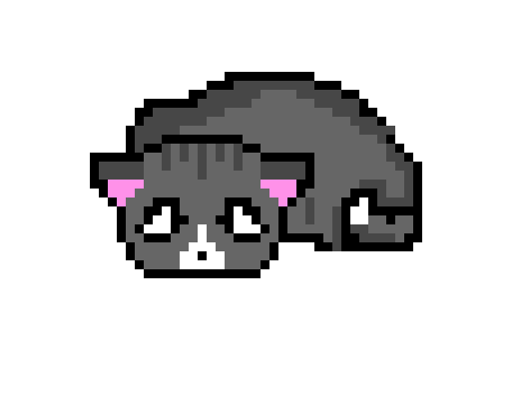 [71fe05] sick Cat 2