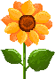 [dfdafc] Daily_35