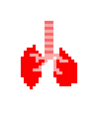 [c5d5a9] lungs