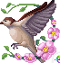 [dfdafc] Nhung_Daily_55