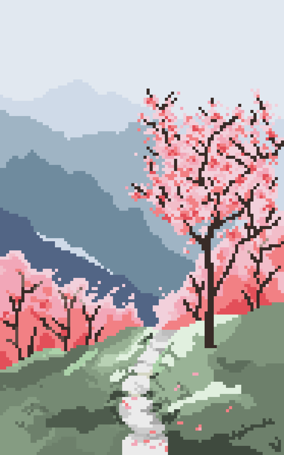 [875f5d] cherry blossoms trees