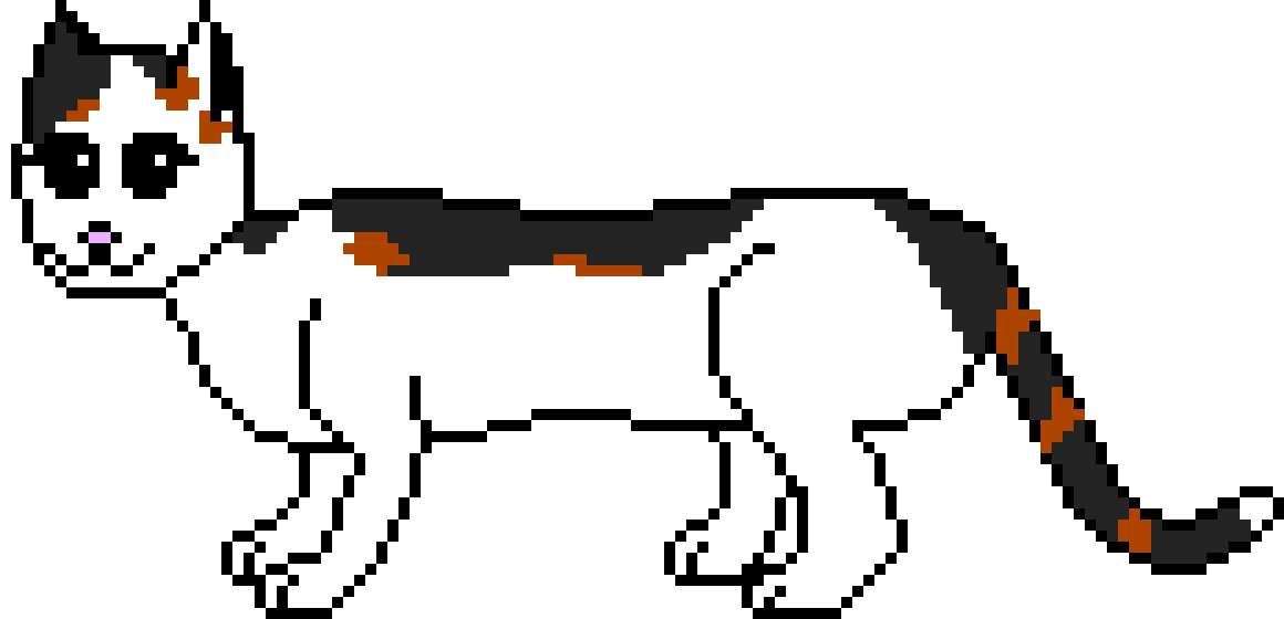 [9664c4] cat