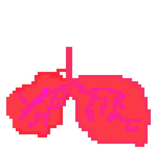 [401978] PIXEL LUNGS