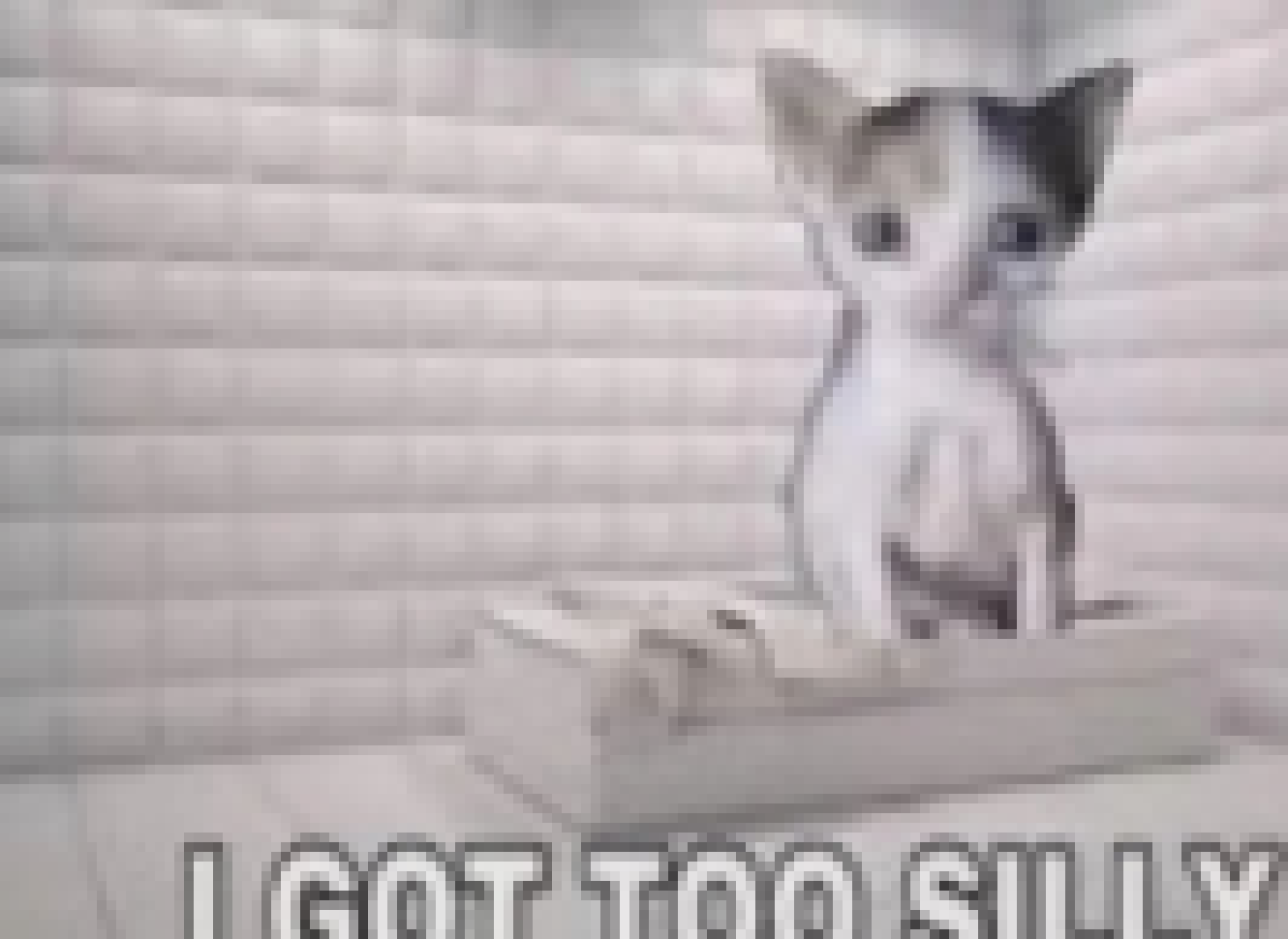 [f63bfd] me when the :3 takes over - Deadtale