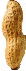 [6c8297] peanut