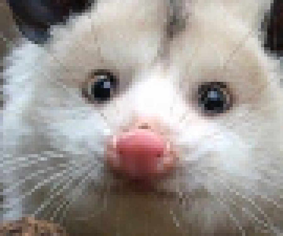 [8048ed] hi i just finished my ten minute geo quiz. i think i passed