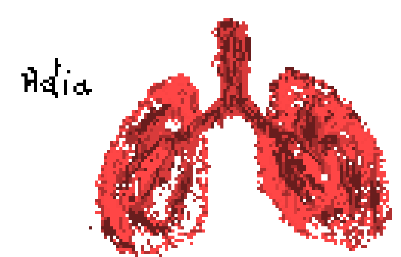 [2b4978] lungs