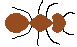 [9664c4] ant