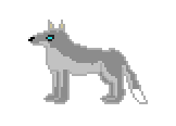 [1e9814] Wolf