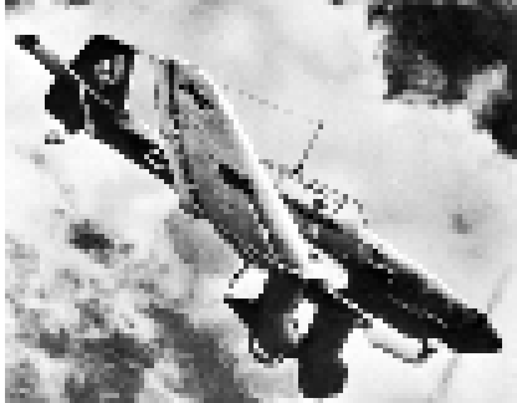 the stuka is probably the most iconic WW2 german plane, i mean if you look up "german WW2 planes" it will probably show the stuka 