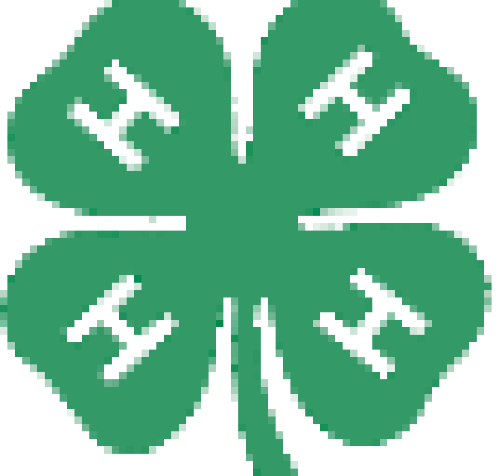 [9db5a4] 4-H for live