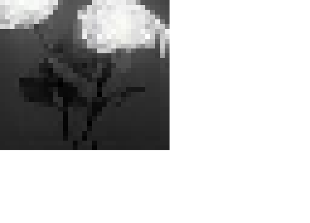 [46a47c] Untitled