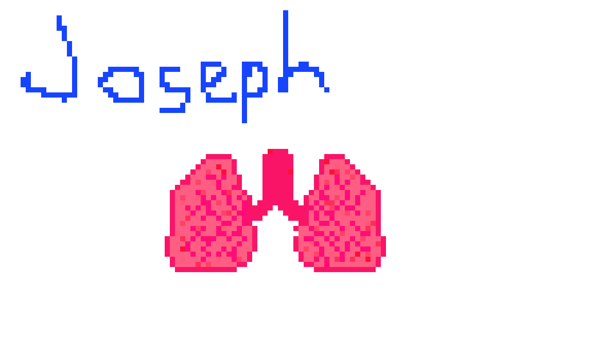 [2b4978] Lungs