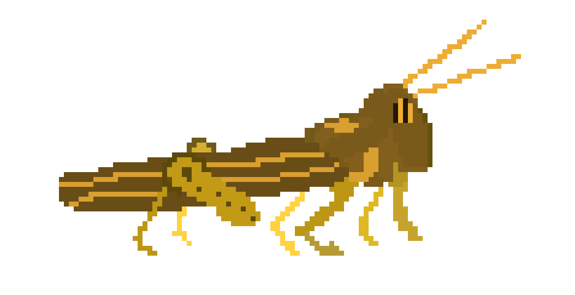 [2017a5] Locust