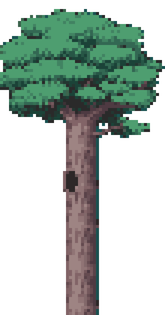 [759573] Tree 2
