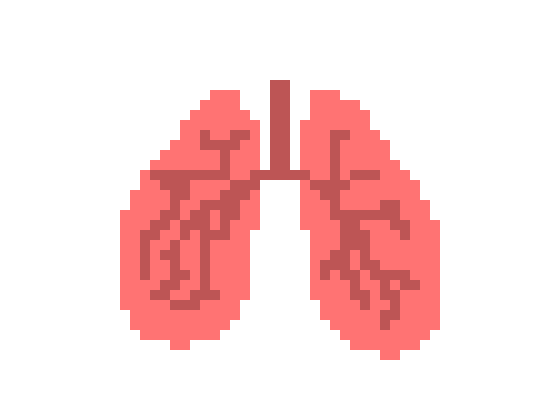 [570043] Pixel Lung