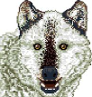 [b8710f] animal_nhung_7
